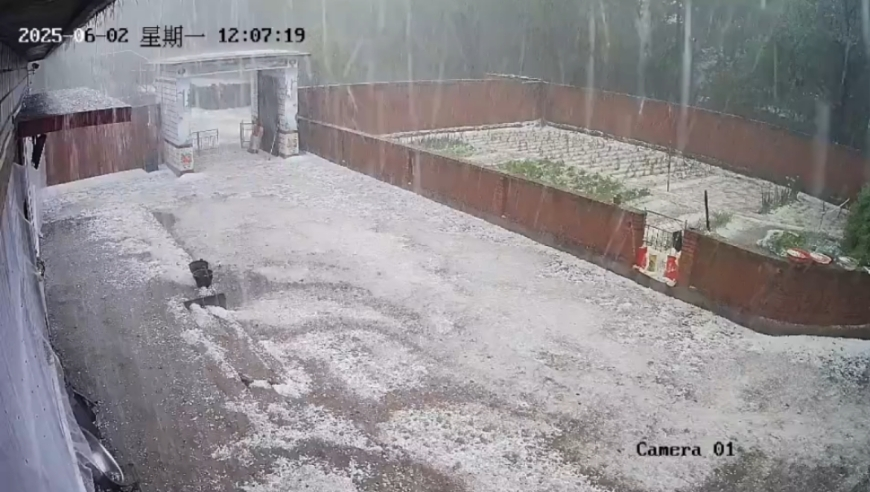 父亲抢行横穿马路 儿子追上去被撞,昨晚澳门六台彩开什么号码,最新热门解答落实_手游版V10.71